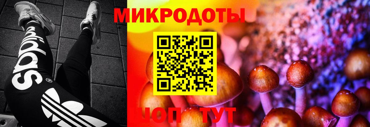Псилоцибиновые грибы мухоморы  Псилоцибиновые грибы Psilocybe  Вход с VPN  Новозыбков 